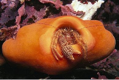 射击游戏《超时空要塞：射击心眼》再次延期